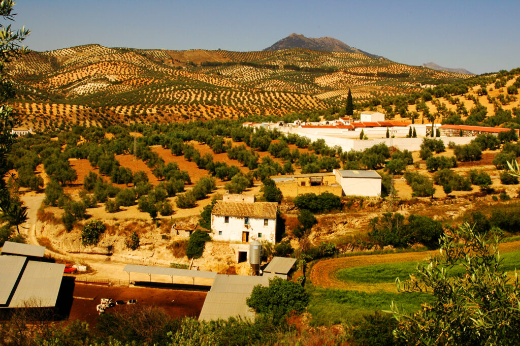 Andalucia, Spain Culinary Vacation - The Palatum